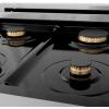 imageZLINE 24 in 28 cu ft Legacy Dual Fuel Range with Gas Cooktop and Electric Convection Oven in Stainless Steel with 4 Brass Burners RABR24