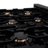 imageZLINE 36 in Legacy Gas Rangetop with 6 Brass Burners and Porcelain Cooktop in Black Stainless Steel RTBBR36