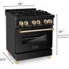 imageZLINE Autograph Edition 30 in 40 cu ft Legacy Dual Fuel Range with 4 Burner Gas Cooktop and Electric Convection Oven in Black Stainless Steel and Polished Gold Accents RABZ30G