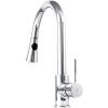 imageZLINE Edison Kitchen Faucet FPBLCH