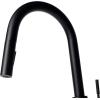 imageZLINE Gemini Kitchen Faucet FPTFMB