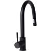 imageZLINE Gemini Kitchen Faucet FPTFMB