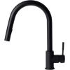 imageZLINE Gemini Kitchen Faucet FPTFMB