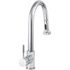 imageZLINE Monet Kitchen Faucet FPNZCH