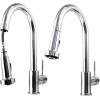 imageZLINE Monet Kitchen Faucet FPNZCH