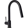 imageZLINE Gemini Kitchen Faucet FPTFMB
