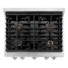 imageZLINE 30 in 42 cu ft Paramount Dual Fuel Range with Gas Cooktop and Electric Convection Oven in Stainless Steel with 4 Brass Burners SDRBR30