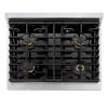 imageZLINE Autograph Edition 30 in 42 cu ft Paramount Gas Range with 4 Burner Cooktop and Convection Gas Oven in Stainless Steel and Polished Gold Accents SGRZ30G