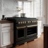 imageZLINE Autograph Edition 48 in 67 cu ft Paramount Double Oven Gas Range with 8 Burner Cooktop in Black Stainless Steel and Polished Gold Accents SGRBZ48G