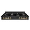 imageZLINE 48 in Autograph Edition Paramount Gas Rangetop with 8 Burners and Porcelain Cooktop in Black Stainless Steel with Polished Gold Accents SRTBZ48G