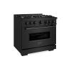 imageZLINE 36 in 52 cu ft Classic Gas Range with Convection Gas Oven in Black Stainless Steel with 6 Brass Burners CGRBBR36