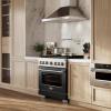 imageZLINE 36 in 52 cu ft Paramount Dual Fuel Range with 6 Burner DuoPro Cooktop and Electric Convection Oven with Black Matte Door PSDRBLM36