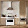 imageZLINE 36 in 52 cu ft Paramount Dual Fuel Range with 6 Burner DuoPro Cooktop and Electric Convection Oven with White Matte Door PSDRWM36