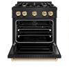 imageZLINE Autograph Edition 30 in 42 cu ft Classic Dual Fuel Range with 4 Burner Gas Cooktop and Electric Convection Oven in Black Stainless Steel with Polished Gold Accents CDRBZ30G