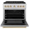 imageZLINE Autograph Edition 36 in 52 cu ft Paramount Dual Fuel Range with 6 Burner DuoPro Cooktop and Electric Convection Oven in Stainless Steel and Polished Gold Accents PSDRZ36G