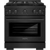 imageZLINE 30 in 42 cu ft Paramount Dual Fuel Range with 4 Burner DuoPro Cooktop and Electric Convection Oven in Black Stainless Steel PSDRB30