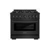 imageZLINE 36 in 52 cu ft Select Dual Fuel Range with 6 Burner Gas Cooktop and Electric Convection Oven in Black Stainless Steel HDRB36