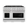 imageZLINE 48 in 67 cu ft Select Double Oven Dual Fuel Range in Stainless Steel with 8 Brass Burners HDRBR48
