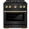 imageZLINE Autograph Edition 30 in 42 cu ft Paramount Gas Range with 4 Burner DuoPro Cooktop and Convection Gas Oven in Black Stainless Steel and Polished Gold Accents PSGRBZ30G