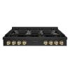 imageZLINE 48 in Autograph Edition Paramount Gas Rangetop with 8 Burners and Porcelain Cooktop in Black Stainless Steel with Champagne Bronze Accents SRTBZ48CB