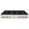 imageZLINE 48 in Autograph Edition Paramount Gas Rangetop with 8 Burners and Porcelain Cooktop in Stainless Steel with Champagne Bronze Accents SRTZ48CB