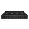 imageZLINE 48 in Paramount Gas Rangetop with 8 Brass Burners and Porcelain Cooktop in Black Stainless Steel SRTBBR48