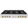 imageZLINE Autograph Edition 48 in Paramount Gas Rangetop with 8 Burner DuoPro Cooktop in Stainless Steel and Champagne Bronze Accents PSRTZ48CB