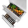 imageZ Line Kitchen and Bath ZLINE 24 in Touchstone 168 Can OutdoorRated Dual Refrigerator Drawer with Satin Stainless Steel Doors RDSOSN24
