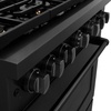 image:imageZLINE 36 in 52 cu ft Paramount Dual Fuel Range with Gas Cooktop and Electric Convection Oven in Black Stainless Steel with 6 Brass Burners SDRBBR36