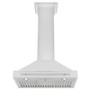image:imageZLINE 30 Stainless Steel Range Hood with Stainless Steel Handle