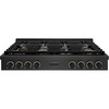 image:imageZLINE Designer Collection 48 in Paramount Gas Rangetop with 8 Burners in Black Satin Stainless Steel with Matte Black and Champagne Bronze Accents SRTBSZ48MBCB