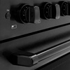 image:imageZLINE 24 in 32 cu ft Paramount Induction Range with 3 Element Cooktop and Electric Convection Oven in Black Stainless Steel SINRB24