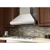 image:imageZLINE 48 Professional Ducted Wall Mount Range Hood in Stainless Steel 6674836 in