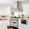 image:imageZLINE 48 Professional Ducted Wall Mount Range Hood in Stainless Steel 6674848 in