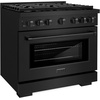 image:imageZLINE 36 in 52 cu ft Paramount Gas Range with Convection Gas Oven in Black Stainless Steel with 6 Brass Burners SGRBBR36