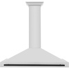 image:imageZLINE 48 Autograph Edition Stainless Steel Range Hood with Stainless Steel Shell and Matte Black Accents