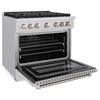 image:imageZLINE 36 in 52 cu ft Paramount Dual Fuel Range with Gas Cooktop and Electric Convection Oven in Stainless Steel with 6 Brass Burners SDRBR36