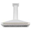 image:imageZLINE 48 in Autograph Edition Convertible Stainless Steel Range Hood with Stainless Steel Shell and Polished Gold Accents KB4STZ48G